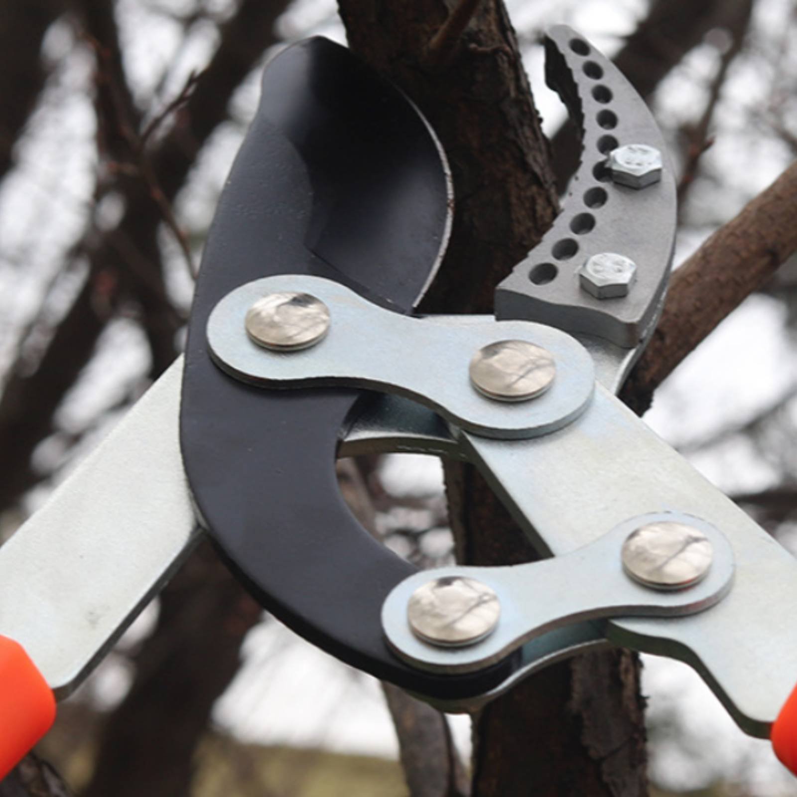 Garden Tools - مقصات تقليم الأغصان التلسكوبية ذات الشفرة