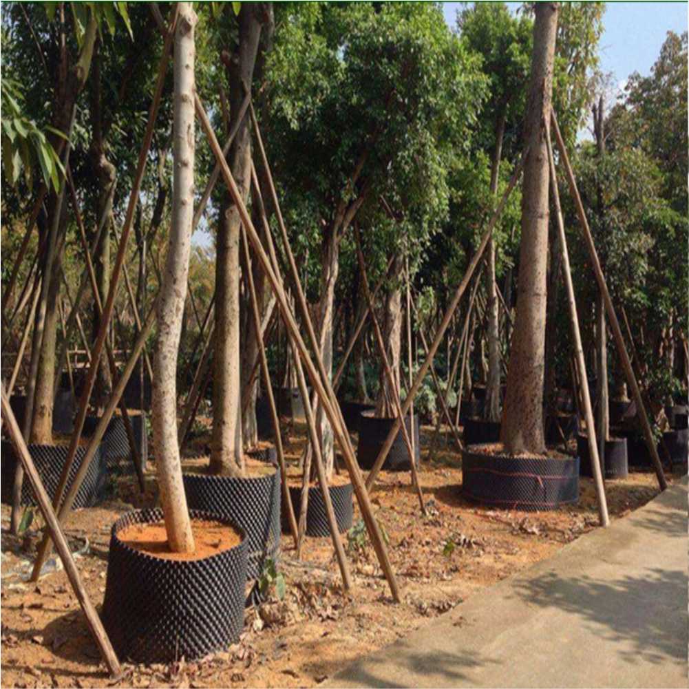 أداة زراعة وتحويل نباتات البون - مراجعة Garden Tools وسعره