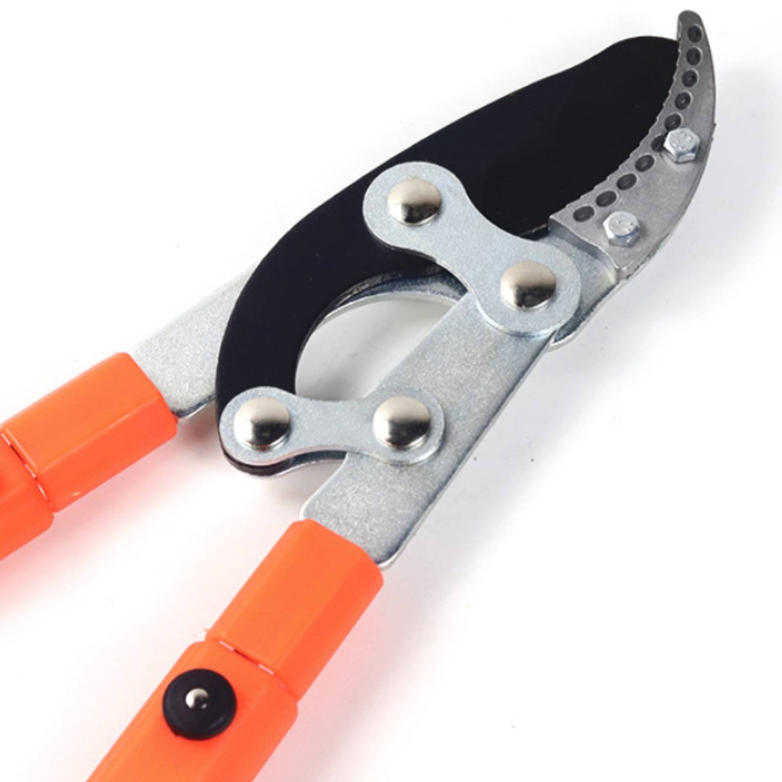 مقصات تقليم الأغصان التلسكوبية - مراجعة Garden Tools وسعره